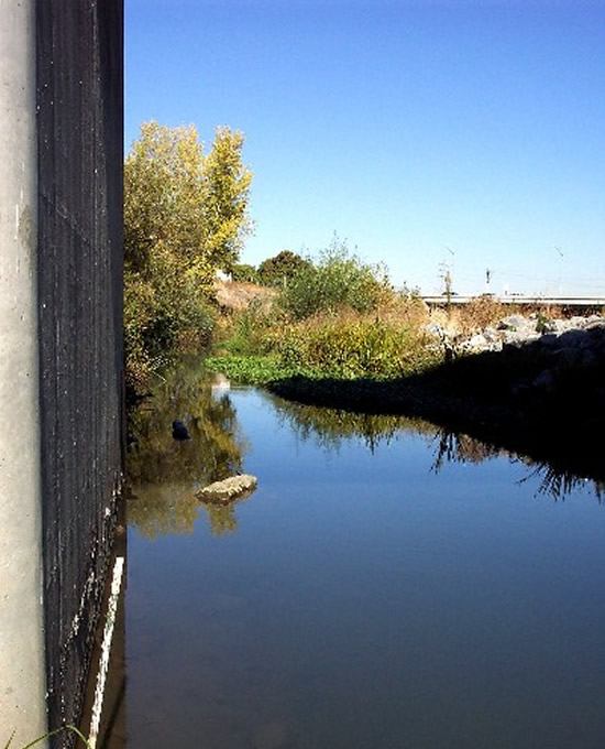 DOWNSTREAM PHOTOGRAPH - GUADALUPE RIVER - SAN JOSE AT US HIGHWAY 101 (GSJC1)