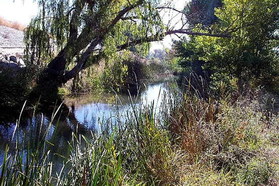 UPSTREAM PHOTOGRAPH - GUADALUPE RIVER - SAN JOSE AT US HIGHWAY 101 (GSJC1)