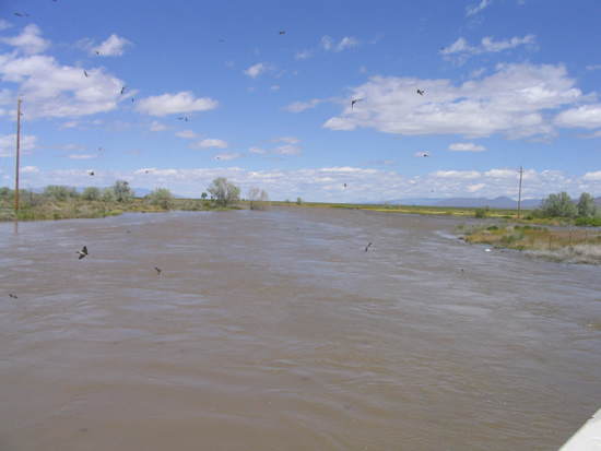 DOWNSTREAM PHOTOGRAPH - HUMBOLDT RIVER - BATTLE MOUNTAIN (HBMN2)