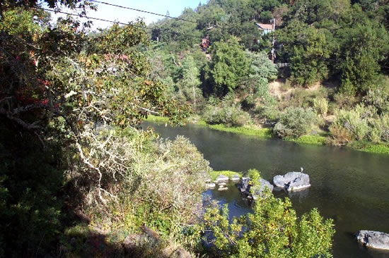 DOWNSTREAM PHOTOGRAPH - RUSSIAN RIVER - HEALDSBURG (HEAC1)