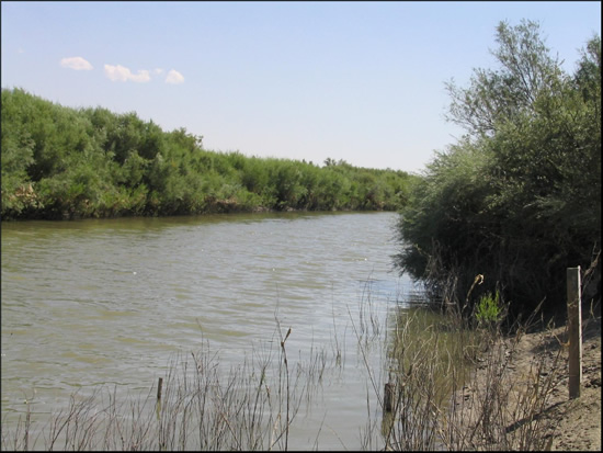 DOWNSTREAM PHOTOGRAPH - HUMBOLDT RIVER - IMLAY (HRIN2)