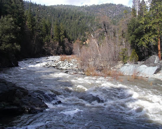 UPSTREAM PHOTOGRAPH - INDIAN CREEK - INDIAN FALLS (IIFC1)