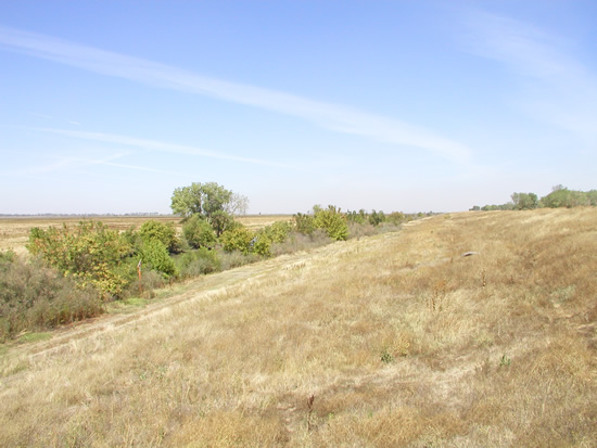 UPSTREAM PHOTOGRAPH - YOLO BYPASS - LISBON (LSBC1)