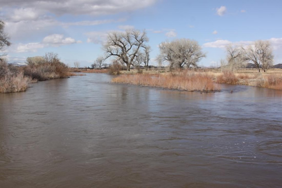 DOWNSTREAM PHOTOGRAPH - WALKER RIVER - MASON AT SNYDER LANE (MASN2)