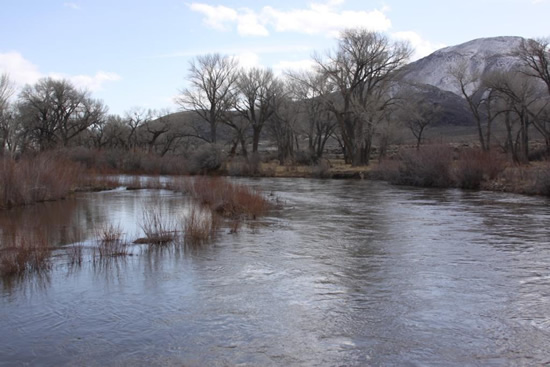 UPSTREAM PHOTOGRAPH - WALKER RIVER - MASON AT SNYDER LANE (MASN2)