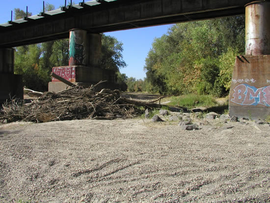 DOWNSTREAM PHOTOGRAPH - COSUMNES RIVER - MCCONNELL (MCNC1)