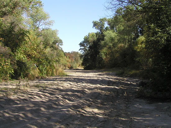 UPSTREAM PHOTOGRAPH - COSUMNES RIVER - MCCONNELL (MCNC1)