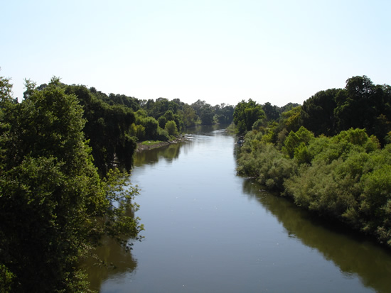 UPSTREAM PHOTOGRAPH - TUOLUMNE RIVER - MODESTO (MDSC1)