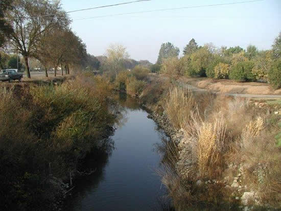 DOWNSTREAM PHOTOGRAPH - BEAR CREEK - MCKEE ROAD (MEEC1)