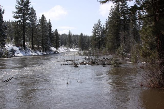 DOWNSTREAM PHOTOGRAPH - MIDDLE FORK FEATHER RIVER - PORTOLA (MFTC1)