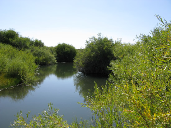 DOWNSTREAM PHOTOGRAPH - MARYS RIVER - ABOVE HOT SPRINGS CREEK (MHSN2)