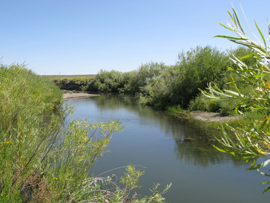 UPSTREAM PHOTOGRAPH - MARYS RIVER - ABOVE HOT SPRINGS CREEK (MHSN2)