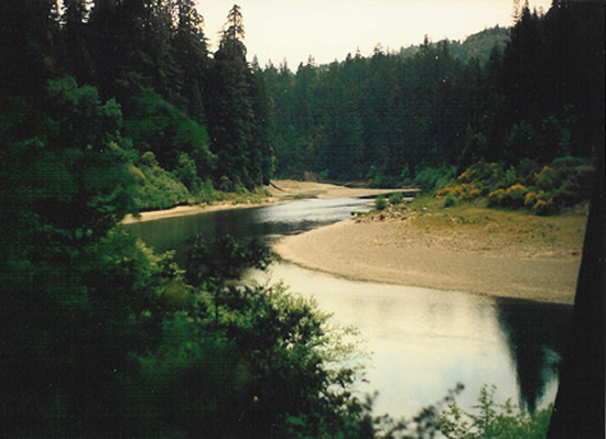 UPSTREAM PHOTOGRAPH - SOUTH FORK EEL RIVER - MIRANDA (MRNC1)