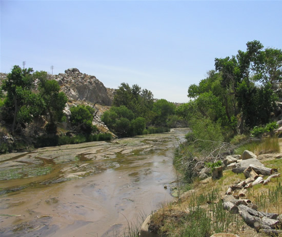 UPSTREAM PHOTOGRAPH - MOJAVE RIVER - VICTORVILLE (MVVC1)