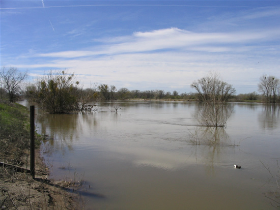 DOWNSTREAM PHOTOGRAPH - FEATHER RIVER - NICOLAUS (NCOC1)