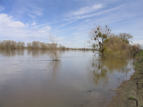 UPSTREAM PHOTOGRAPH - FEATHER RIVER - NICOLAUS (NCOC1)