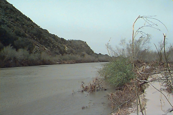 DOWNSTREAM PHOTOGRAPH - SANTA YNEZ RIVER - NARROWS (NRWC1)