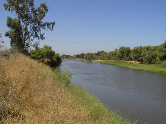 DOWNSTREAM PHOTOGRAPH - SAN JOAQUIN RIVER - NEWMAN (NWMC1)