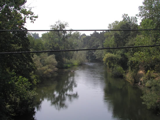 UPSTREAM PHOTOGRAPH - STANISLAUS RIVER - ORANGE BLOSSOM (OBBC1)