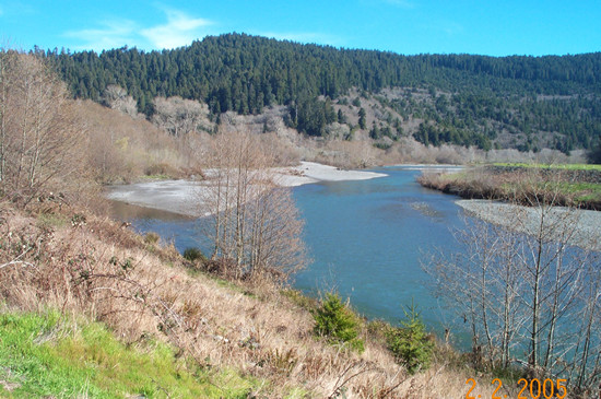 UPSTREAM PHOTOGRAPH - REDWOOD CREEK - ORICK (ORIC1)