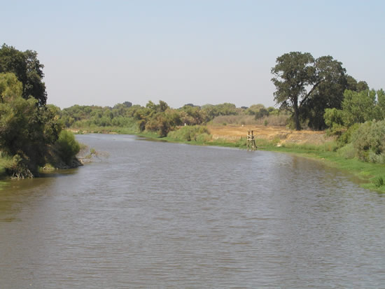 DOWNSTREAM PHOTOGRAPH - SAN JOAQUIN RIVER - PATTERSON (PATC1)