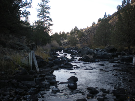 DOWNSTREAM PHOTOGRAPH - SOUTH FORK PIT RIVER - LIKELY (PLYC1)