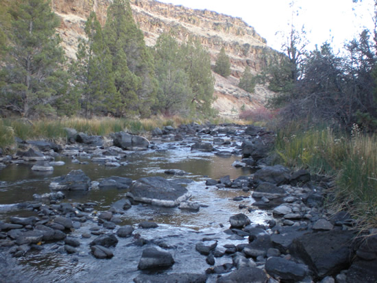 UPSTREAM PHOTOGRAPH - SOUTH FORK PIT RIVER - LIKELY (PLYC1)