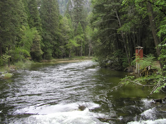 UPSTREAM PHOTOGRAPH - MERCED RIVER - YOSEMITE NP AT POHONO BRIDGE (POHC1)