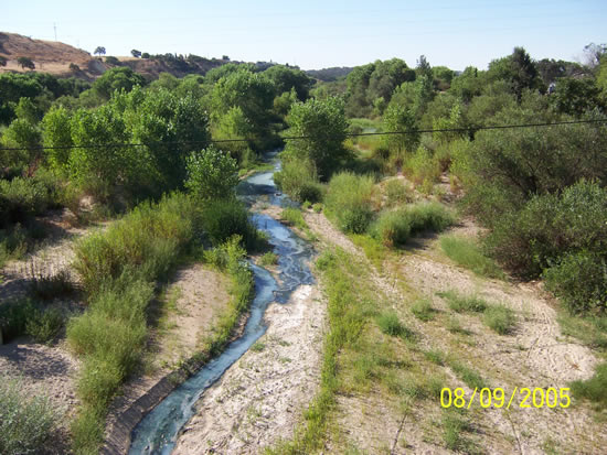 UPSTREAM PHOTOGRAPH - SALINAS RIVER - PASO ROBLES (PRBC1)