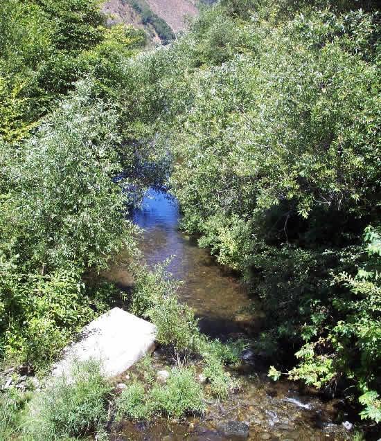 DOWNSTREAM PHOTOGRAPH - CARMEL RIVER - ROBLES DEL RIO (RDRC1)