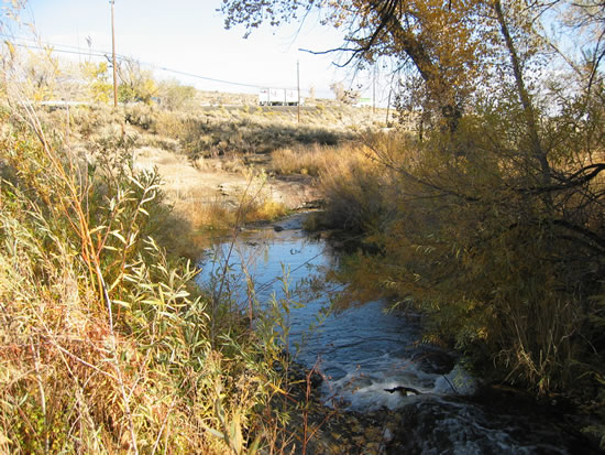 DOWNSTREAM PHOTOGRAPH - STEAMBOAT CREEK - STEAMBOAT (SCRN2)