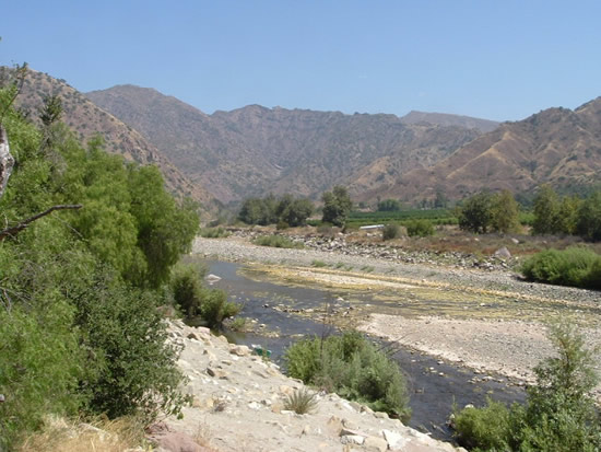 UPSTREAM PHOTOGRAPH - SESPE CREEK - FILLMORE (SESC1)