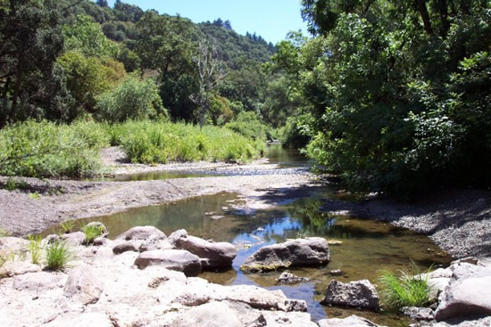 DOWNSTREAM PHOTOGRAPH - NAPA RIVER - SAINT HELENA (SHEC1)