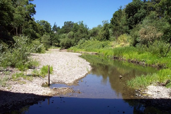 UPSTREAM PHOTOGRAPH - NAPA RIVER - SAINT HELENA (SHEC1)