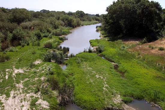 UPSTREAM PHOTOGRAPH - SALINAS RIVER - SPRECKELS (SPRC1)