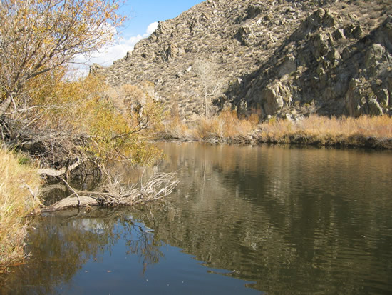 DOWNSTREAM PHOTOGRAPH - CARSON RIVER - CARSON CITY (STWN2)