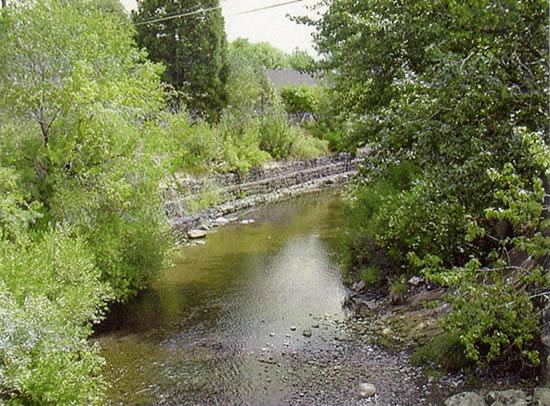 DOWNSTREAM PHOTOGRAPH - SUSAN RIVER - SUSANVILLE (SUSC1)