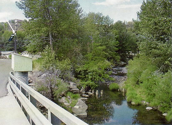 UPSTREAM PHOTOGRAPH - SUSAN RIVER - SUSANVILLE (SUSC1)