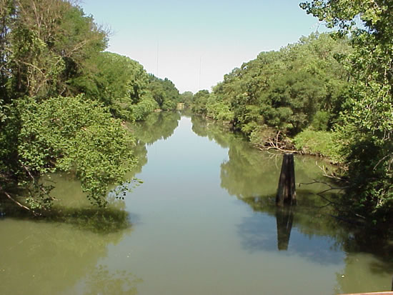 DOWNSTREAM PHOTOGRAPH - MOKELUMNE RIVER - BENSON'S FERRY (THTC1)