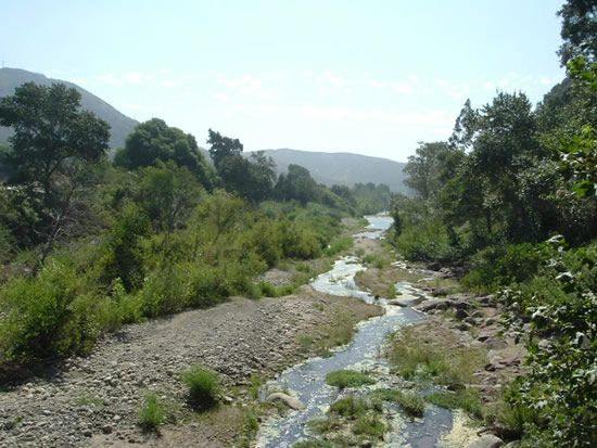 DOWNSTREAM PHOTOGRAPH - VENTURA RIVER - FOSTER PARK (VRVC1)