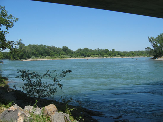 UPSTREAM PHOTOGRAPH - SACRAMENTO RIVER - VINA WOODSON BRIDGE (VWBC1)