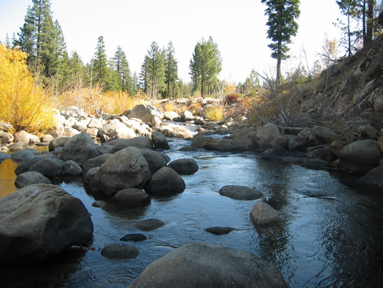 DOWNSTREAM PHOTOGRAPH - WEST FORK CARSON RIVER - WOODFORDS (WOOC1)