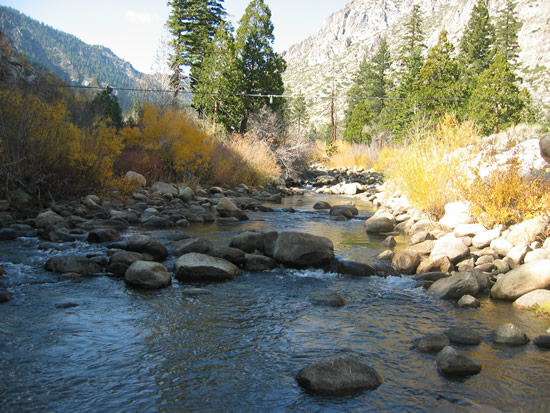 UPSTREAM PHOTOGRAPH - WEST FORK CARSON RIVER - WOODFORDS (WOOC1)