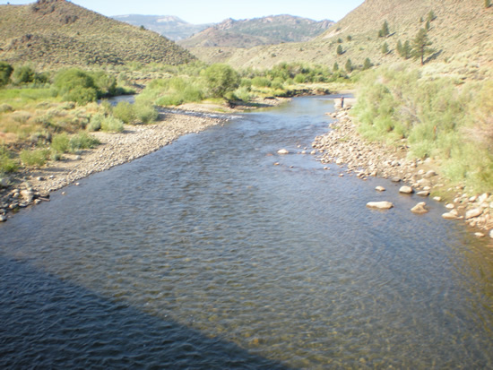 UPSTREAM PHOTOGRAPH - WEST WALKER RIVER - BELOW LITTLE WALKER RIVER NEAR COLEVILLE (WWBC1)