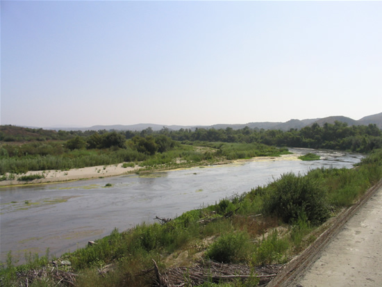 UPSTREAM PHOTOGRAPH - SANTA MARGARITA RIVER - YSIDORA (YDRC1)