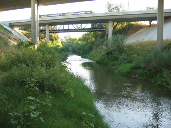 DOWNSTREAM PHOTOGRAPH - CACHE CREEK - YOLO (YLOC1)