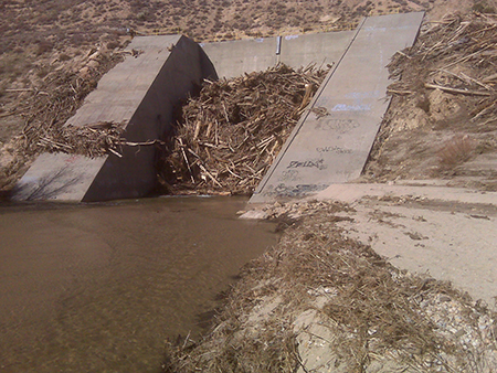 Mojave Dam Outlet Plugged with Debris - Post December 2010 Event 